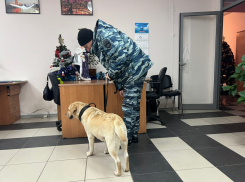 Взрывчаткой с ртутными ампулами пугает волгоградцев «маньяк-террорист»