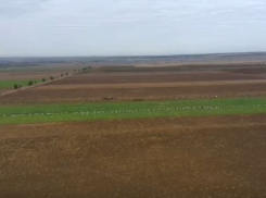 Прятаться бесполезно: БПЛА поднимут в небо под Волгоградом