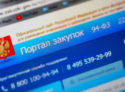 ТОП-5 самых «нужных» закупок чиновников и депутатов Волгоградской  области