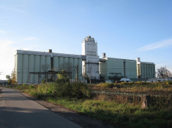 Под Волгоградом 15-летняя школьница прыгнула с крыши 36-метрового элеватора 