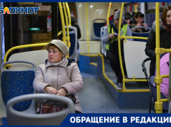 «Зарабатывать на школьниках – с таким девизом в новый год», – мама четвероклассника о повышении проезда