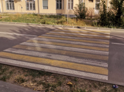 «Идиоты несутся лихо»: волгоградец раскритиковал опасные переходы у школ в  Краснооктябрьском районе