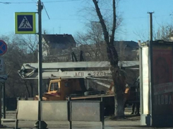 В Волгограде снова пилят деревья