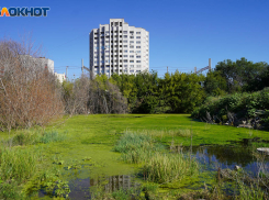 Три района Волгограда обесточат 23 августа