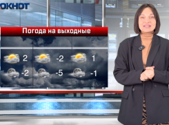 Аномально теплые первые выходные февраля ждут Волгоград