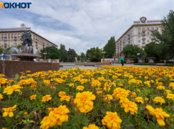 Волгоградцев послали в 25 прохладных мест: список адресов от мэрии