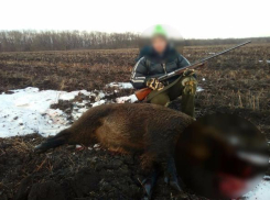 Стоящий над трупом кабана 14-летний мальчик разгневал волгоградцев