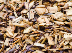 В Волгограде 13 января открывается пункт приема использованных ёлок