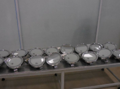 Партию турецких зеркал с подсветкой пыталась незаконно пронести авиапассажирка в Волгограде 