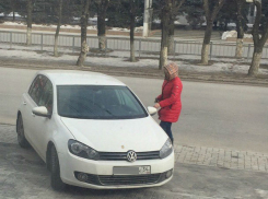 Волгоградцы «поймали» шпионку, которая фотографирует нарушителей парковки