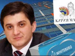 Бывший ио мэра Волгограда ворочает миллиардами: чем теперь зарабатывает Роланд Херианов