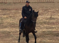 Волгоградка ищет принца на вороном коне при погонах