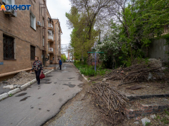 Чиновники выспрашивают у волгоградцев о проблемах с транспортом, экологией и зарплатами