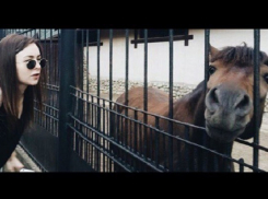 Юля Семакина из «Универа» превратила в звезду коня