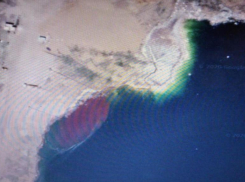 Про опасную красоту пруда-накопителя волгоградского «Каустика» рассказал член регионального ОНФ