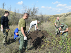 В Волгоградской области создан первый поисковый отряд из работников прокуратуры