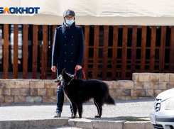 Коронавирус в Волгоградской области на 18 октября: 175 заболевших и всего 21 выздоровевший