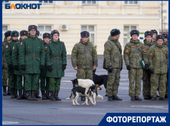 Штурмовали Грозный и дошли до Берлина: военной дивизии в Волгограде вернули историческое название
