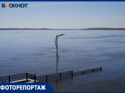 Площадка у амфитеатра уже под водой: набережную затопило в Волгограде