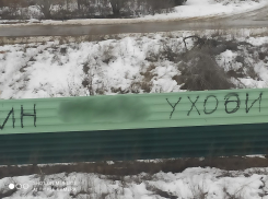 «Это позор для города-героя»: Волгоград встречает туристов оскорбительными надписями за отставку Путина