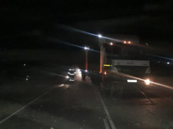 Три человека погибли в ночной аварии с лошадью на трассе Волгоград-Астрахань