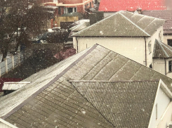 Внезапно накрывший Волгоград апрельский снег попал на видео