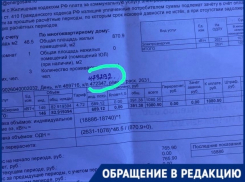 Волгоградка заметила странности с счетчиками и поразительными суммами за электричество