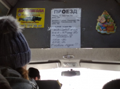 В Волгограде продолжает действовать «новогодняя» цена за проезд в маршрутках