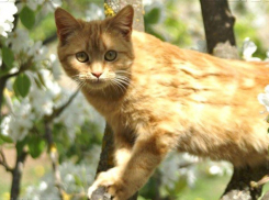 Душной и дождливой оказалась первая суббота августа в Волгоградской области 