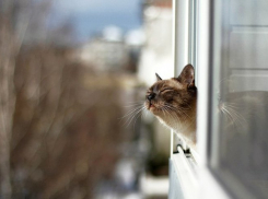 В Волгоградской области снова потеплело до +14ºС