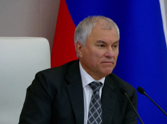 «Отрывается напоследок»: Володину спрогнозировали уход из Госдумы