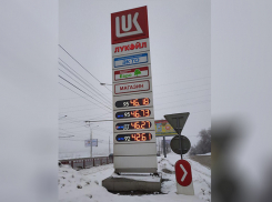 Нефтяники нашли оправдание росту цен на бензин и продолжат нас «обдирать», – волгоградский эксперт