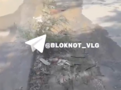 Стихийный ручей забил в Волгограде – видео 