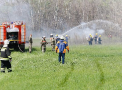 В Волгоградской области школьники и студенты убрали 1,5 тысячи свалок 