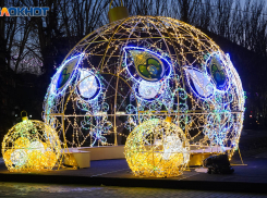 Световые скульптуры за 1,4 млн покупают к Новому году в Волгограде