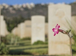 ЗАГРЕМЕЛИ ПОД ФАНФАРЫ: Похоронным бизнесом в Волжском занялись прокуроры 