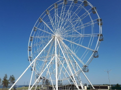 Обещанного три года ждут: концессионер срывает все сроки благоустройства главного парка Волгограда