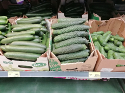 До 300 руб подорожали огурцы в Волгограде