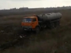 Как фекалиями травят в камышах уток и зайцев, показала на видео волгоградка