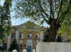 В центре Волгограда грузовик сбил второклассницу у входа в школу