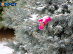 В пятницу Волгоград накроют мокрый снег и ветер