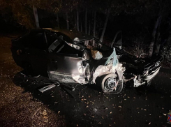 Машина всмятку: волгоградский водитель погиб после столкновения с деревом 