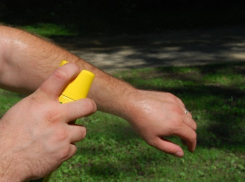 91 водоем Волгограда обработают от комаров