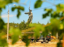 Вырубленный парк вдов на Мамаевом кургане разравняют за 2 миллиона