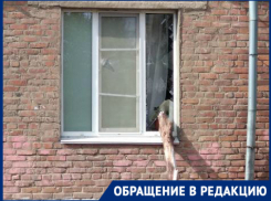 Спилить сухое дерево, а не любоваться выбитыми ветками стеклами надеются жители центра Волгограда 