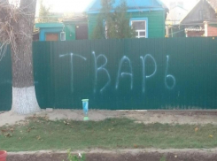 «Тварь»: забор депутата в Волгоградской области «украсили» надписью