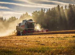 В Волгограде комбайнерам готовы платить до 220 тысяч рублей в месяц