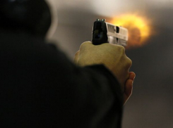 В массовой драке у кафе «Камелот» пострадали 8 человек