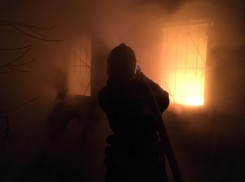 Больше трех часов тушили крупный ночной пожар в СНТ в Волгограде