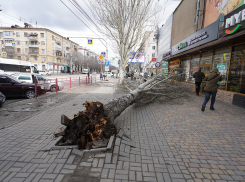 МЧС предупреждает о грозах и усилении ветра в Волгоградской области
